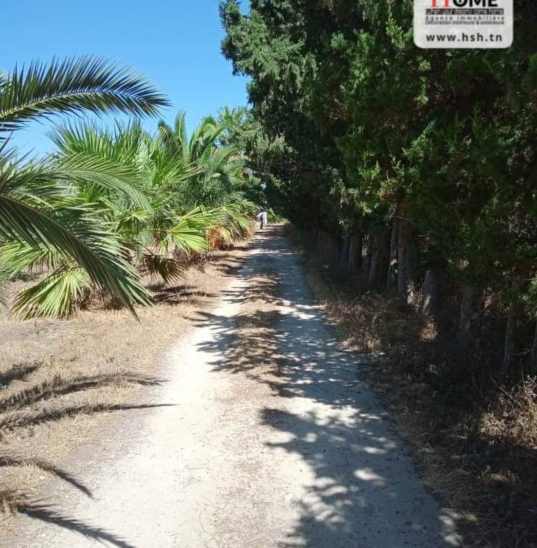 Land in Nabeul,Soliman