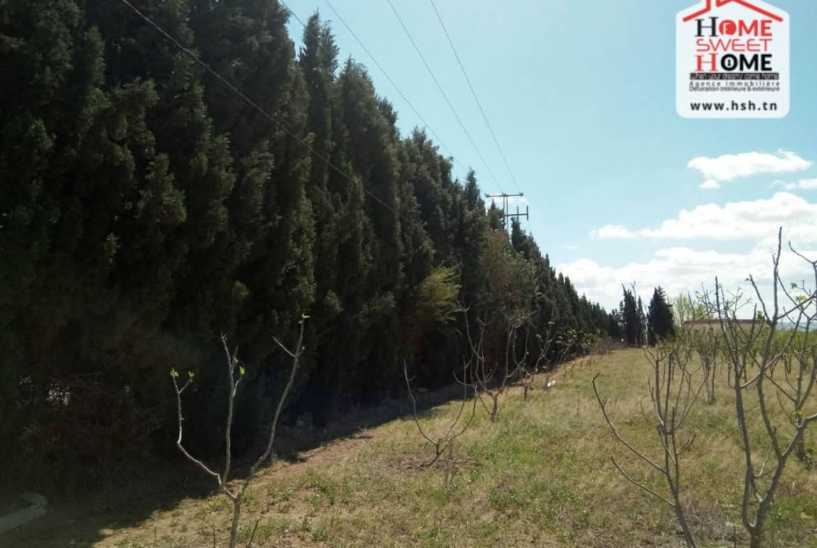 Land in Ben arous,Ben arous