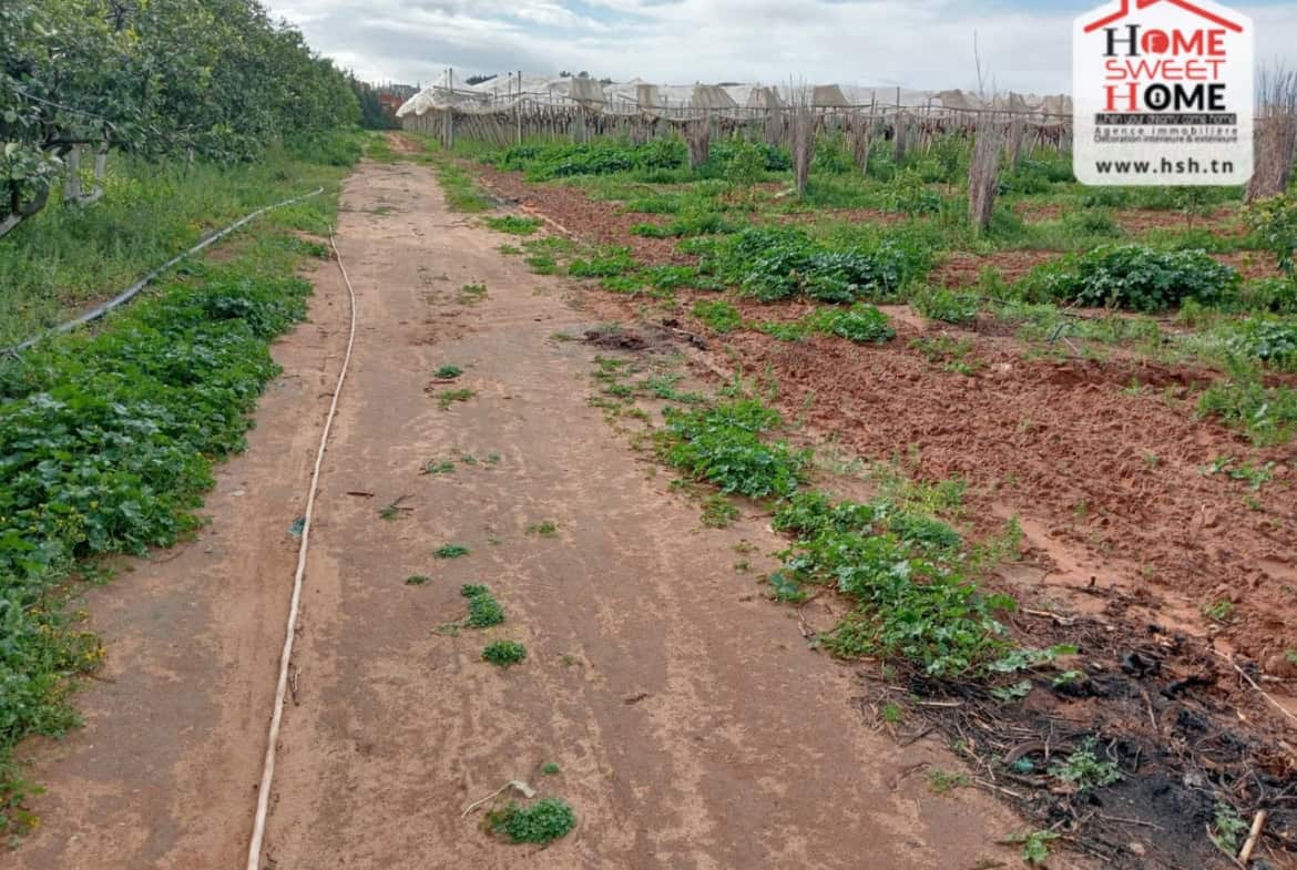 Land in Ben arous,Mornag