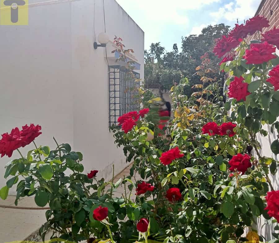 House in Nabeul,Hammamet