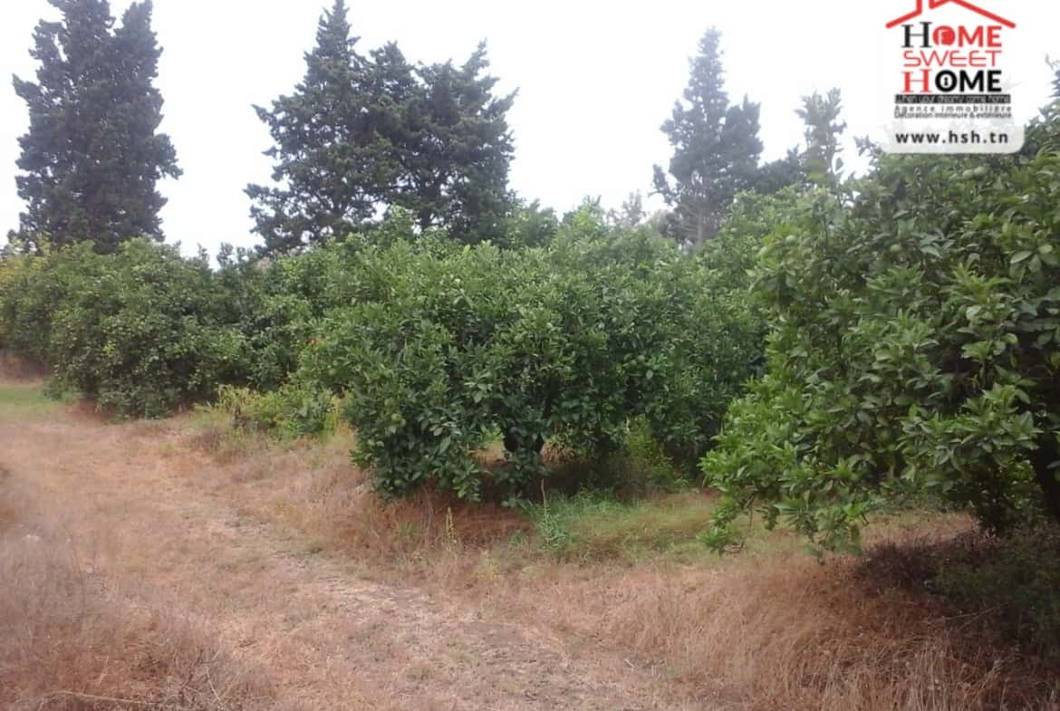 Land in Nabeul,Soliman