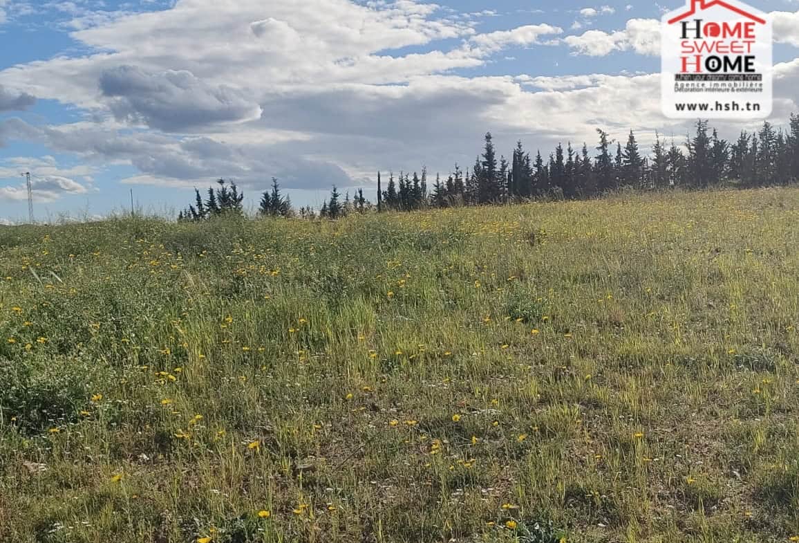 Land in Ben arous,Mornag