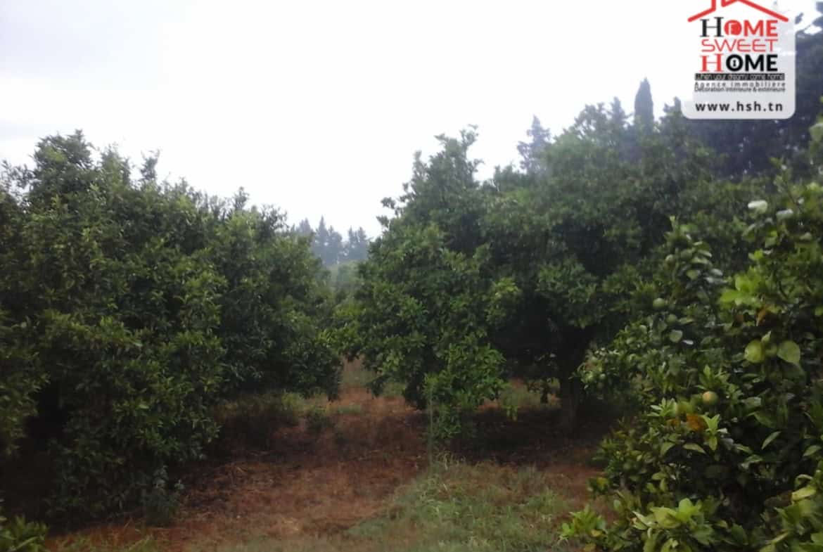 Land in Nabeul,Soliman