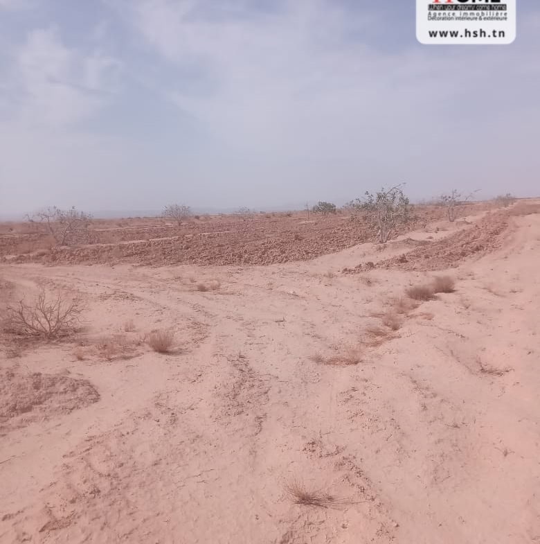 Land in Gafsa,Gafsa nord