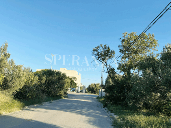 Land in Nabeul,Hammamet