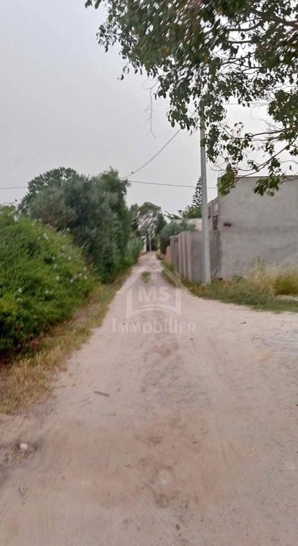 à vendre Lot de terrain de 500 m² à Hammamet Sud