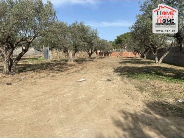 à Vendre Terrain Villa à Ben Arous Boumhal