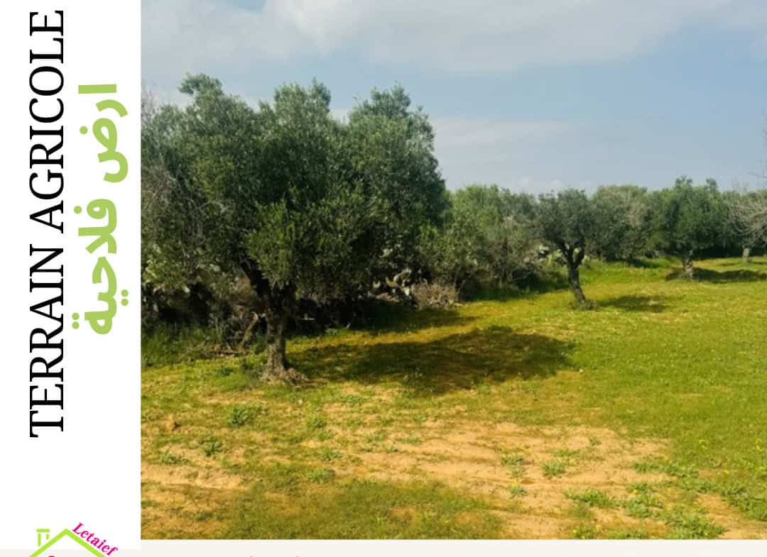 À vendre Terrain de 6500 m² a Sousse Chott Mariem foukaia