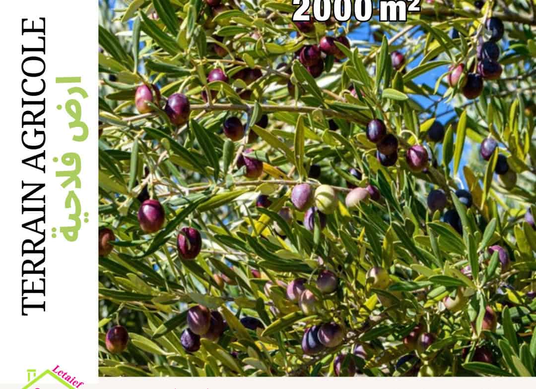 À vendre Terrain de 2000 m² a Sousse Foukaia chott meriem