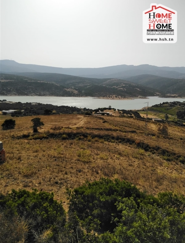 à Vendre Terrain Agricole à Nabeul Takelsa