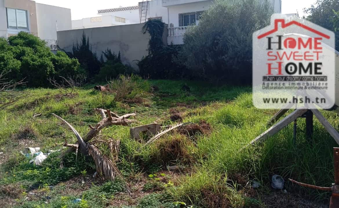 À Vendre Terrain Vahine À Tunis La Marsa Sidi Daoud